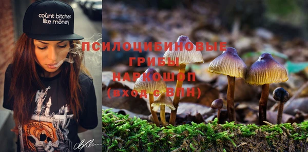 спайс Балахна